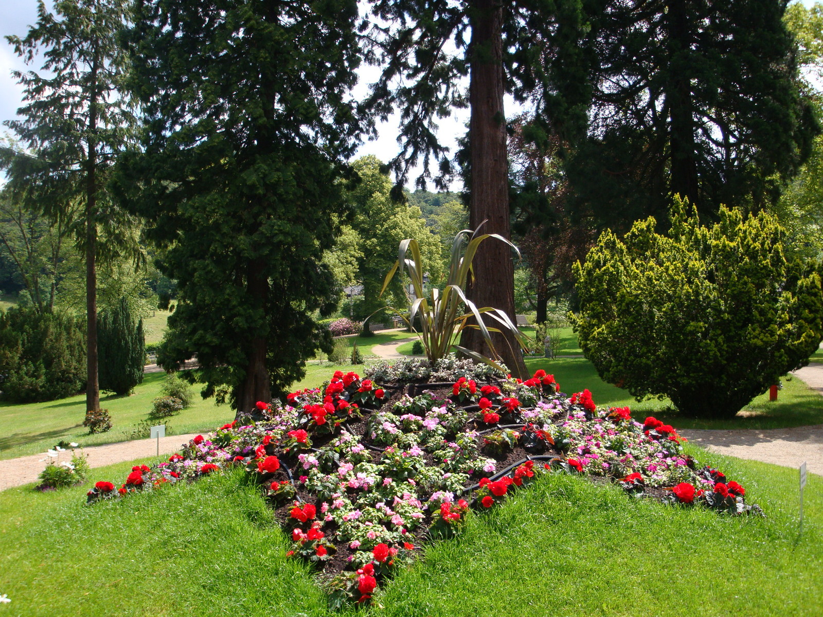 Drachenburg